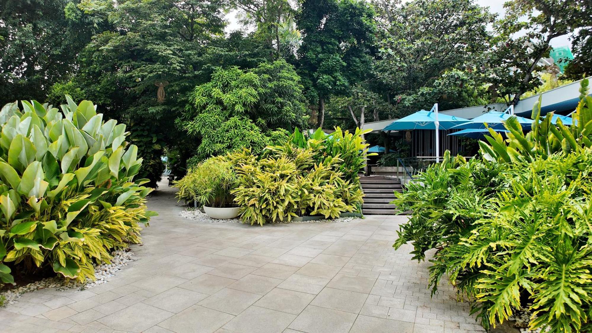 Dominiks Stylish Resort Gem Ocean View Pool Queen Bed At Tambuli 8 Floor Fast Wifi Lapu-Lapu City Kültér fotó
